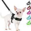 SlowTon No Pull Small Dog Harness and Leash Set, Puppy Soft Vest Harness Neck & Chest Adjustable, Reflective Lightweight Harness & Anti-Twist Pet Lead Combo for Small Medium Dogs (Black, XXS) (XX-Small (Chest 11.5-15.0"))