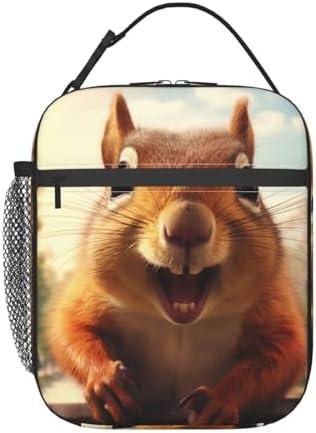 VANZEV Lunch Box for Adults Women Girls Boys Kids Cute Squirrel Lunch Box Insulated Cooler Reusable Lunch Bag Container Gifts for Work Office Picnic Travel School