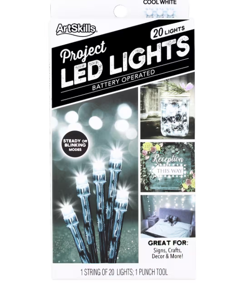ArtSkills® 20ct. Cool White LED String Lights