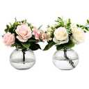 YANWE1 Round Glass Vases, Set of 2 Small Vases for Flowers, Clear Glass Vase for Tulips, Modern Vase for Living Room, Office, Coffee Table, Shelf, Wedding, 5 Inches