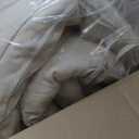 Wenqik 2-3 Seater Porch Swing Cushions with Backrest 60 x 40 x 4 Inch Thick Outdoor Waterproof Bench Pad Patio Swing Replacement Cushion, Split Design, Soft for Garden, Lawn, Backyard(Natural White)