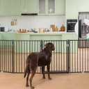 No Pawblems Free Standing Dog Gate with Door, 30'' Tall Foldable Dog Fence for Indoor & Outdoor, Up to 104 Inch Extra Wide Puppy Gate for Stairs, Hallways, Doorways, Deck, Yard (Black, 4 Panels)