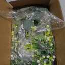 Sggvecsy 2 Pack Artificial Eucalyptus Garland Eucalyptus Leaves Vines Greenery Garland Faux Silver Dollar Eucalyptus Leaves for Table Party Wedding Indoor Outdoor Home Mantle Wall Decor