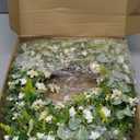 Sggvecsy White Daisy Wreath 24 Inch with Fake Silk Floral Green Eucalyptus Leaves and Lavender for Spring Summer Front Door Window Wall Wedding Farmhouse Festival Decor