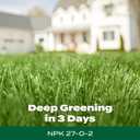 Scotts Green Max Lawn Food, 5,000 sq. ft.
