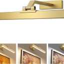 Picture Lights for Wall, Brushed Gold Battery Operated Picture Light 16in Art Light CCT Dimmable Recharging Battery Wall Light with Remote Control for Living Room Gallery