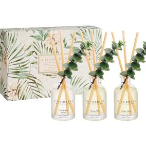 COCORRNA Eucalyptus Reed Diffuser Set of 3 - Eucalyptus & Moss, Clean Linen, Ocean Mist Scents, 1.7 fl oz Each, Total 5.1 oz, Scented Oil Diffusers for Home & Office