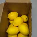 BigOtters 10PCS Small Artificial Lemons, Faux Yellow Lemons 2.7 x 1.8 Inch for Fake Fruit Bowl Lemonade Party Summer Decor Photo Props