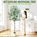 6ft Olive Trees Artificial Indoor with Pot, Faux Fake Olive Tree with Realistic Wood Trunk and Lifelike Fruits, Large Faux Plant for Home Living Room Entryway Office Decor