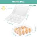 SINLUCESCE 120 Packs Plastic Clear Egg CartonEgg Cartons 3 * 4GridsCear Egg Carton for Perfect for Refrigerator Chicken Farm Markets, 3x4, M