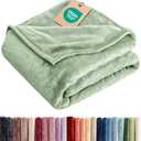 Ultra Soft Fleece Blanket Queen Size - Flannel Fleece Luxury Queen Blanket - Lightweight for Couch Bed Chair - Thick, Warm & Breathable - All Season Cozy Fuzzy, Anti-Static Microplush Bedding, Celadon