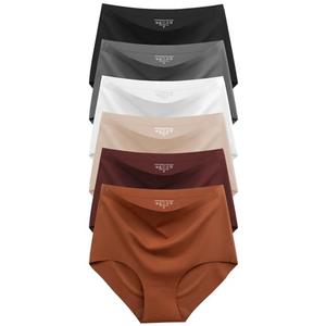 Womens Underwear Seamless High Waisted Briefs Silky Stretch No Show Breathable Full Coverage Ladies Panties 6 Pack , L