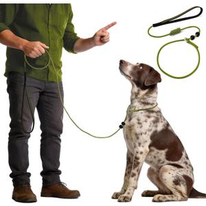 BeauGo|Dog Leash Slip Lead|Dog Training Leash,Trainer Rope Designed for DogTraining and NGKC Competition,No Pull Dog Lead & Collar,Trainer Rope for Small Medium Large Dogs.Slip Leads for Dogs 6 FT (DARK GREEN)