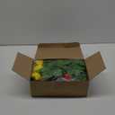 4 Pcs Sukkah Decoration Fruits Hanging Banner for Sukkot - Etrog Apple Decor - Jewish Holiday Celebration Party Supplies (Colorful Style)