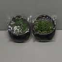 Der Rose 2 Pack Fake Hanging Plants Artificial Succulents Plants Indoor for Black Boho Bathroom Wall Decor