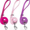 azuza 3 Pack Nylon Dog Leashes,Strong & Durable Basic Style Leash with Easy to Use Collar Hook, Hot Pink/Pink/Purple (XS: 3/8" x 6 FT)