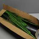 Artificial Plants Fake Banana Tree with Green Leaves 32" Bird of Paradise Plantas Artificiales Decorativas Faux Tropical Plants Greenery Family Garden Office Indoor Outside Decor 2Pcs (Green)