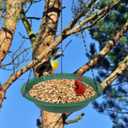Hanging Bird Feeder Tray with Drainage Holes for Outside Fit Most Seed, Rugged Recycled Plastic Feeding Station, Great for Attracting Wild Birds (12 inch, Green)