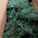 6.5Ft Prelit Classic Spruce Artificial Christmas Tree with LED Lights, PVC Needle Foliage, 'Feel Real' Artificial Full Christmas Tree with Timed Remote Control and Foot Switch Device, Christmas Decor