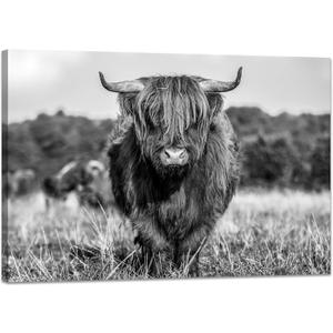 YIOZHAOFH Black and White Highland Cow Canvas Wall Art Print Cattle Pictures Wall Decor Animal Posters Artwork Framed for Bedroom Bathroom Living Room(16" L x 24" W)