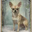 Tin Sign Chihuahua Puppy Metal Poster Tin Signs Painting Retro Metal Poster Bathroom Vintage Wall Decor (ASpictureSHOW-frde57)