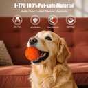 Interactive Dog Ball Replacement Shell (Orange)
