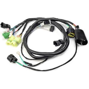 Wire Harness Compatible with Honda 400EX TRX400EX 2005 2006 2007 SPORTRAX 400EX 32100-HN1-A40