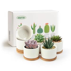 ZOUTOG Succulent Pots 3.1 Inch,6 Pack Succulent Planters,Small Pots for Plants with Drainage and Tray,White Ceramic Flower Planters for Indoor Plants,Home,Office,Desk