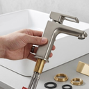 Single Handle Single Hole Stainless Steel Bathroom Faucet with Deckplate and Pop Up Drain in Brushed Nickel
