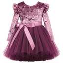 Flofallzique Toddler Party Dress Long Sleeve Velvet Tulle Girls Princess Dresses for (3T,Plum)