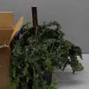 3FT Real Touch Cedar Topiary Trees for Front Porch Decor, Artificial Shrubs Faux Plants Potted UV Resistant Fake Greenery for Outdoor Indoor Door Garden Farmhouse Home Decoration (Set of 2)