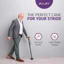 Allay Walking Cane for Men & Women - Foldable, Adjustable, Collapsible Walking Canes for Seniors Balance, Free Standing, Pivot Tip, Heavy Duty, with Travel Bag | Walking Sticks for Seniors & Adults