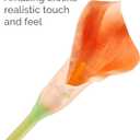 Elements Mikasa Artificial Latex Calla Lily Bouquet, Lifelike Look and Feel, Set of 5 5x3x18 Inch