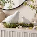 AceOrbit Set of 2 Large Bird Decor Big White Terracotta Bird Statue Figurine 11.8'' 6.7'' Birds Sculpture for Home Decor Boho Decorative Ornaments Gifts for Spring Bedroom Cabinets Table Desktop Shelf