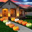 10 Pcs Thanksgiving Day Pumpkin Yard Decorations Outdoor with Stakes Fall Yard Signs with LED Lights Lawn Garden Decorations for Autumn Holiday Party Harvest Path