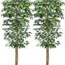 HAIHONG 2Packs 6FT Artificial Ficus Trees with Realistic Leaves and Natural Trunk, Faux Ficus Tree with Sturdy Plastic Nursery Pot, Fake Ficus Tree for Office Home Farmhouse for Indoor Outdoor Decor