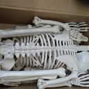 Abakuku 2 Pack 36" Halloween Skeleton Decorations,Human Bones for Halloween Party with Movable Joints,for Haunted Houses, Front Lawn, Graveyard Props, 2pcs-36inch