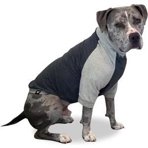Tooth & Honey Large Dog Clothing/Dog Pullover/Light Weight Shirt/Color Block Shirt/Summer Shirt/Dark Grey/Allergy Shirt (Medium)