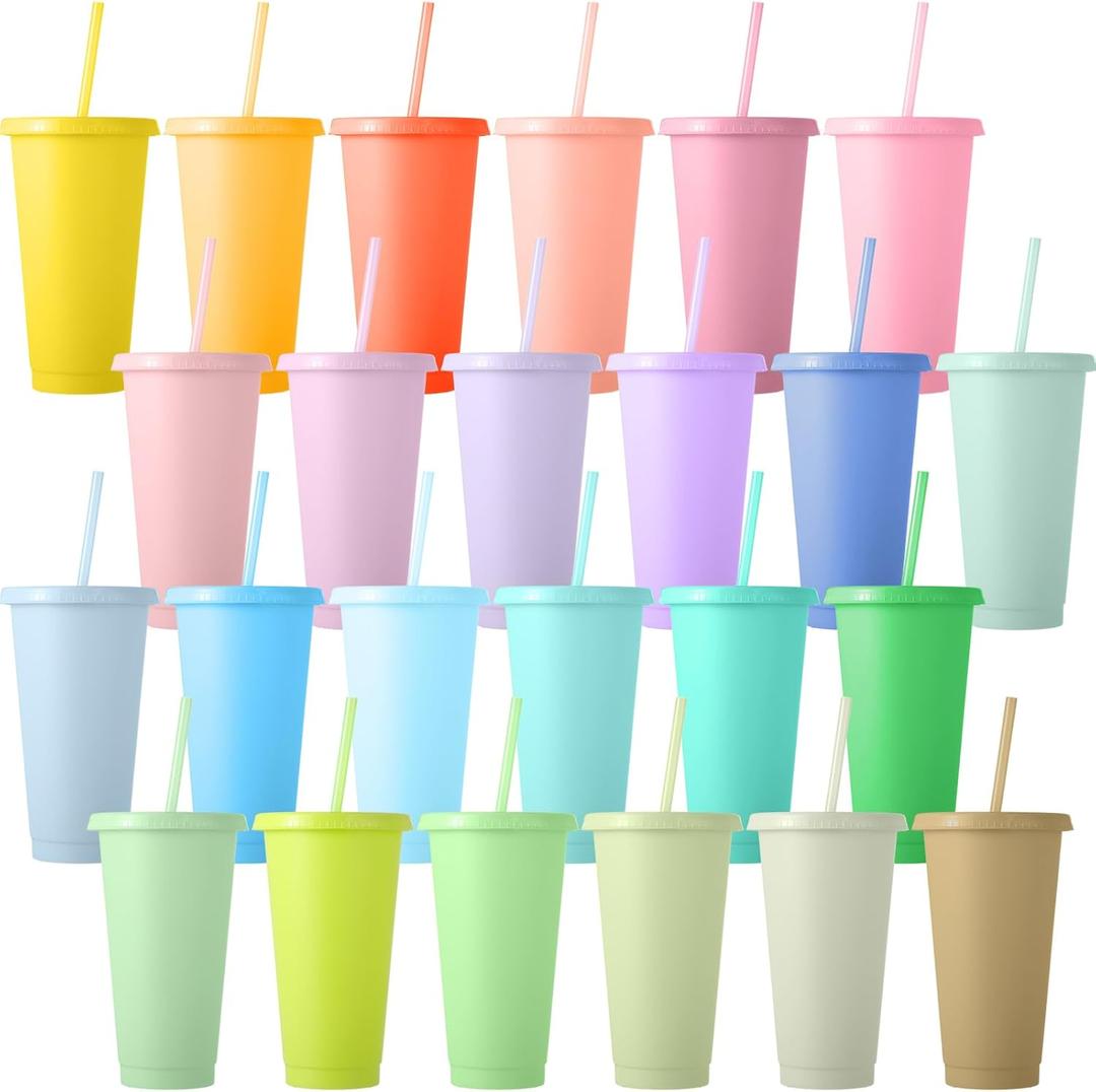 Dandat 24 Pcs Tumblers Bulk 24 oz Plastic Tumblers with Lids and Straws Reusable Skinny Cups Plastic Tumbler Bulk Colored Cups with Lids and Straws for Parties Birthday Gifts (Colorful)