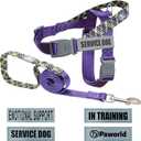 Service Dog Harness and Leash Set, No-Pull Service Dog Vest with 4 PCS Reflective Patches, Dog Vest Harness with Handle, Pet Harness for Small Medium Large Dogs in Training (Purple, L)