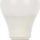  14 Watt (100 Watt Equivalent) A19 Daylight LED Light Bulb, Medium Base (12 Pack)