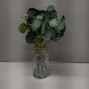 Der Rose 13.5" Fake Plants for Bathroom Decor Artificial Eucalyptus Stems in Clear Glass Vase with Faux Water for Office Desk Accessories Home Table Centerpiece DecorSage Green