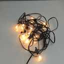 Outdoor String Lights 25 Feet G40 Globe LED Patio Lights with 13 Edison Plastic Bulbs(1 Spare), Waterproof Connectable Hanging Lights for Backyard Porch Balcony Party Decor, E12 Socket Base, Black
