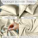 DECOLURE Satin Bed Sheets - 4 Piece Luxury Silky Queen Size Bedding Set - Softer Than Silk, Wrinkle-Free with 15 Deep Pocket Fitted Sheet, Perfect for Hair & Skin, Gifts for Women (Champagne)