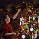 Christmas Gnome Advent Calendar 2025,24 Day Christmas Advent Calendar with 24 Gnome,Xmas Countdown Surprise Gift