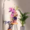 ANCIENTPWR Industrial-Grade Plant Grow Light, Full Spectrum for Indoor Plants with Auto Timer (3/9/12H), 10-Level Dimming, 75.5" Adjustable Height, Flexible Gooseneck & 4.1lb Heavy Base (ONE-Head-36W)