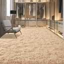 Shag Area Rug for Bedroom, 4x6 Feet Fluffy Rugs for Girls Boy's Bed Bedside, Plush Carpet with Non-Slip Bottom for Living Room Office Dorm Nursery Room, Beige