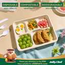 JOLLY CHEF Small Compostable 5 Compartment Paper Plates 10 * 8.25 * 1 inch 125 Pack Disposable Eco-Friendly Biodegradable Food Trays for Primary and Secondary School Students Lunch (Brown)