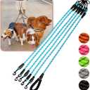 5 Way Dog Leash with 360 Swivel, Comfortable for Walking & Training (Blue)