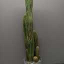Artificial Cactus 16 INCH Tall Fake Cactus Plants Faux Cacti Saguaro with Planter for Indoor Outdoor Home Office Shop Garden Decoration